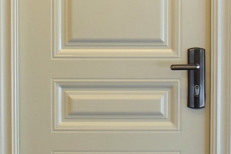 OUR PRODUCT SERIES Janus Safety Door®